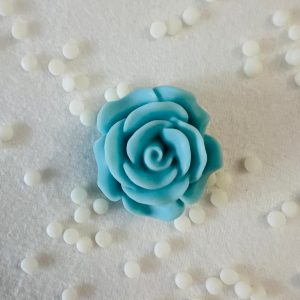 Róża jak z bajki, ale w sojowej odsłonie 🌹