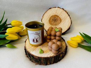 🌿✨ Mała przerwa od cywilizacji - świece na leśnej polanie ✨🌿