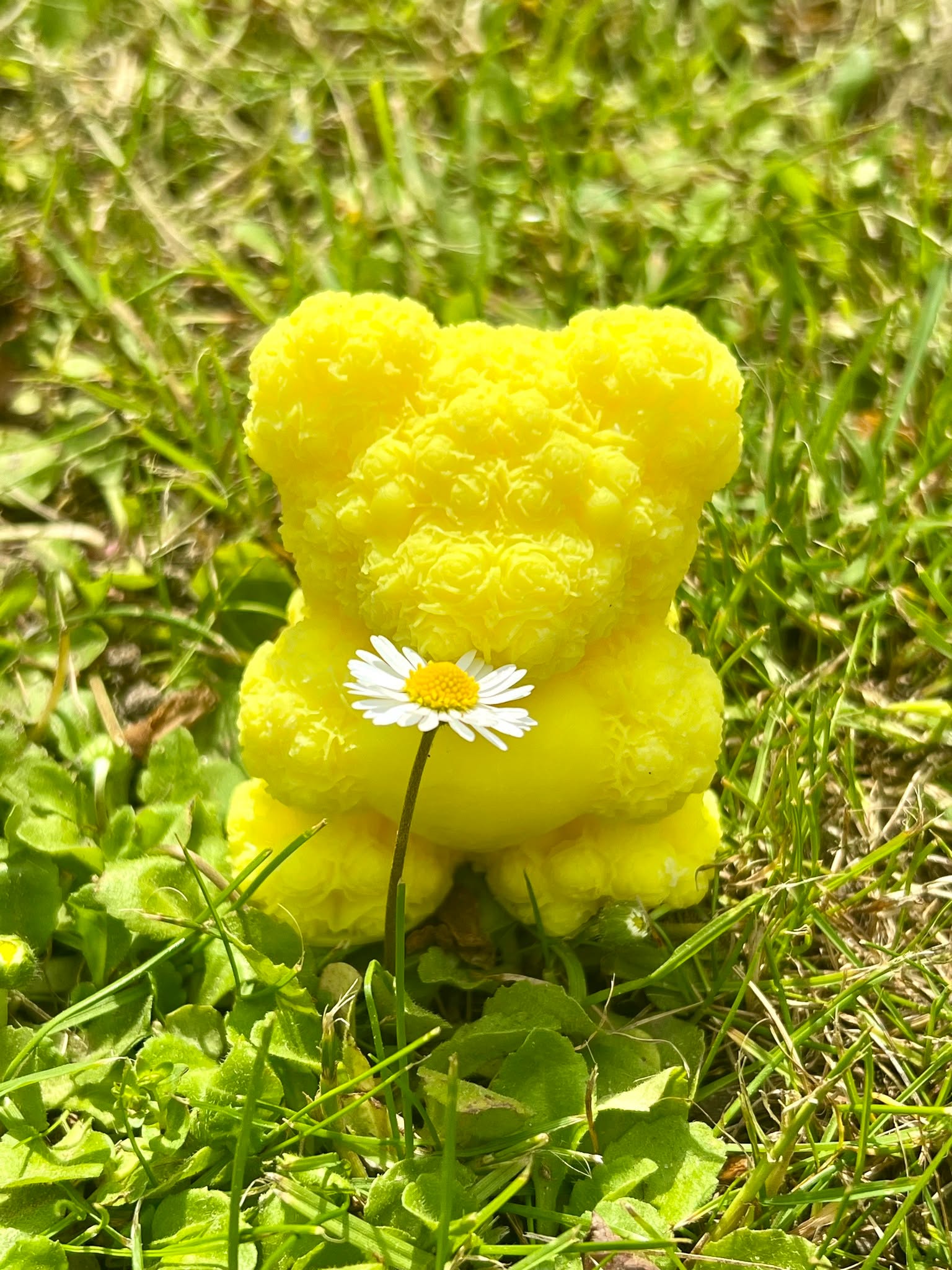 🌼 Halo! Halo! Miś na pachnącej misji!
