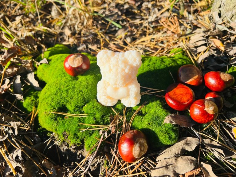 🍁 Jesień w pełni, a my ją naprawdę lubimy 🍁