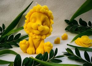 Nasza zwierzęca rodzinka rośnie w siłę 🦁💪