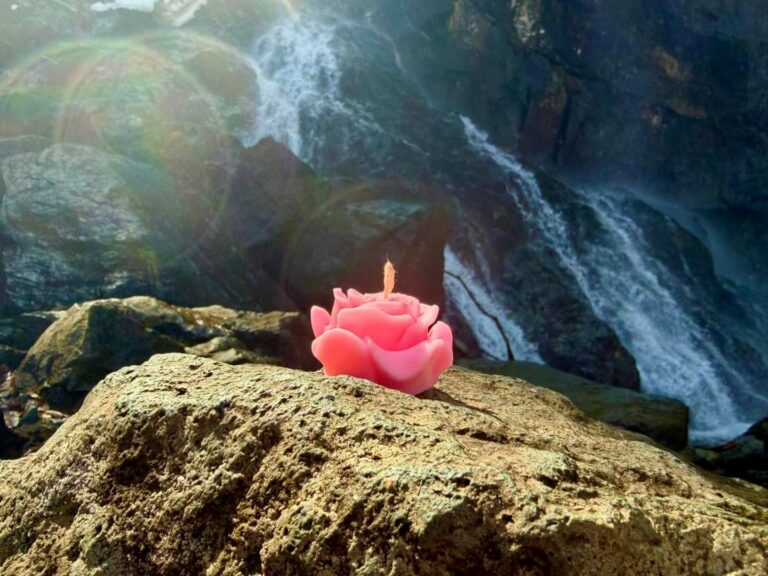 Natura nie potrzebuje filtrów 💦🌿🌸