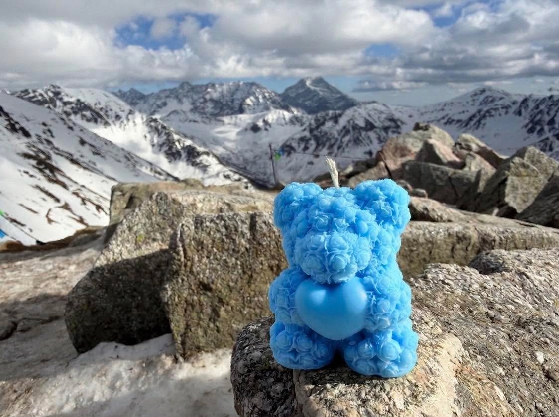 Miś podróżnik w górskim terenie 🏔️