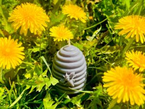 🐝🌼 Zamknęliśmy kawałek wiosennej łąki w świecy 🕯️
