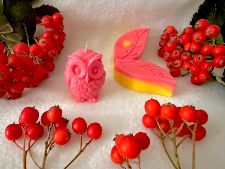 🦉 🍁 Małe cuda jesieni 🍁 🦉