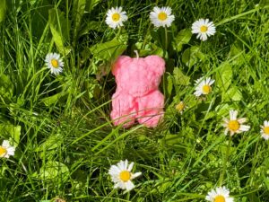 🌼☀️ Lato zamknięte w jednym kadrze 🧸✨
