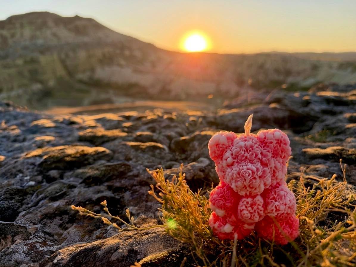 🐻🕯️ Mały miś, wielkie marzenia i zachód słońca, którego nie da się zapomnieć… 🌅🤎